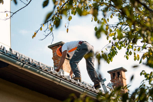 Best Metal Roofing Installation  in Breezy Point, MN