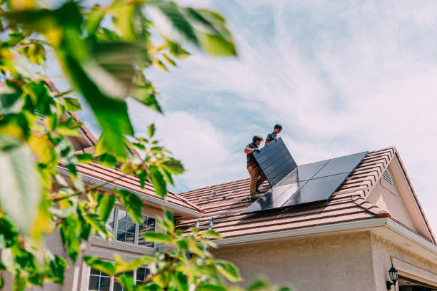 Best Roof Moss and Algae Removal  in Breezy Point, MN