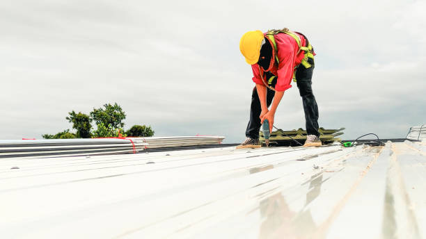 Best Skylight Installation and Repair  in Breezy Point, MN