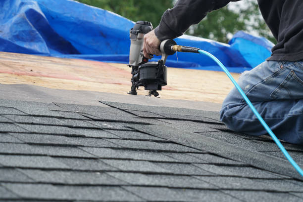 Best Roof Leak Repair  in Breezy Point, MN