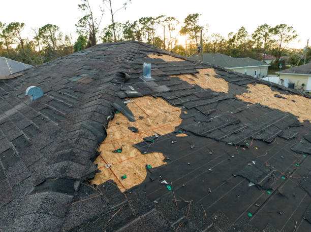 Best 4 Ply Roofing  in Breezy Point, MN